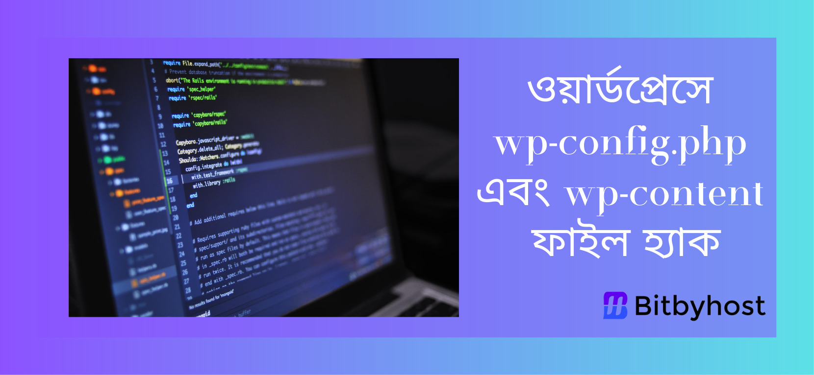 Wp Config File -