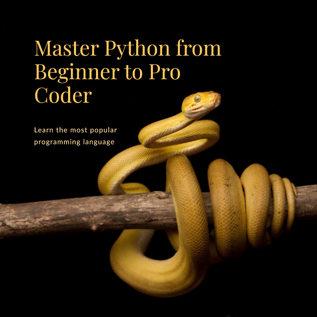 master in Python