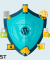 WordPress Security-1